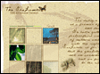 Homepage