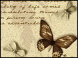 Homepage