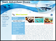 Homepage Optional design