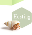 Web Hosting